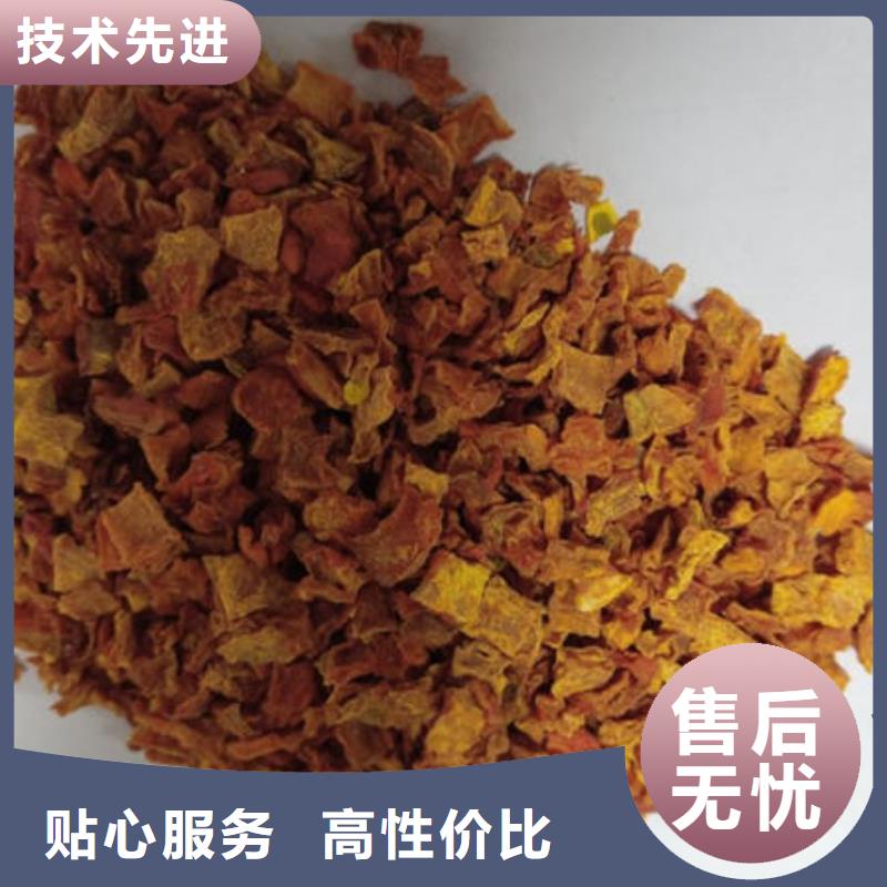 南瓜丁灵芝出货快专业设计