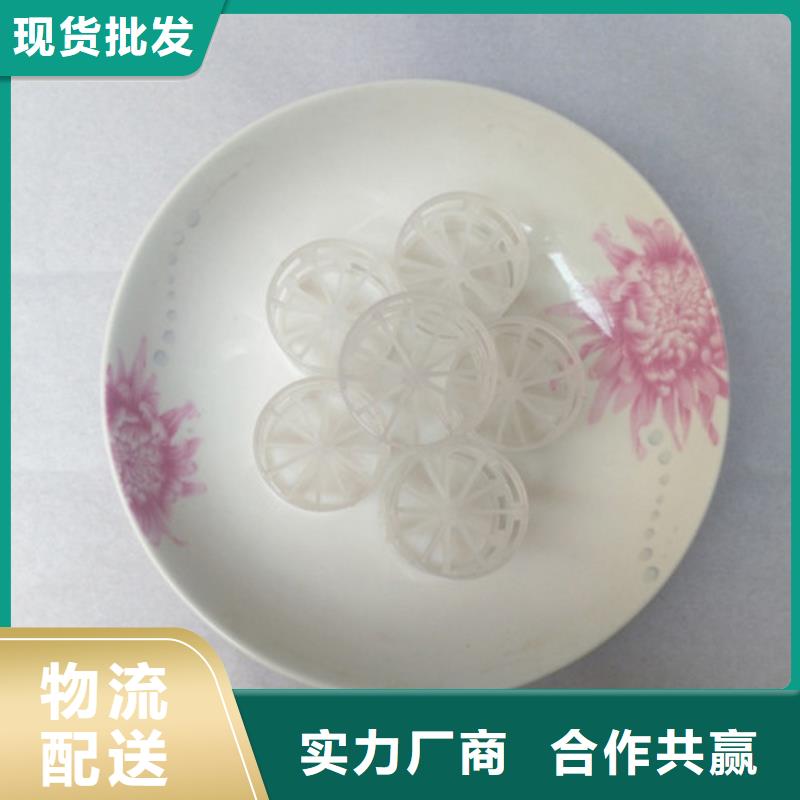 鲍尔环填料_蜂窝斜管多年经验值得信赖产品优良