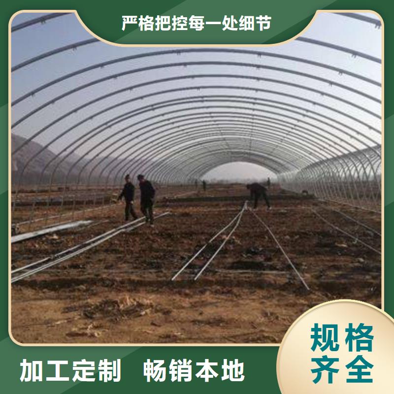 连栋大棚骨架管实时报价、专业生产品质保证