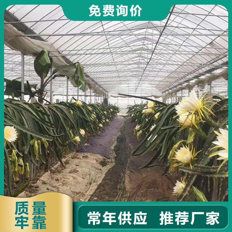连栋大棚骨架管[厂销价优]本地品牌