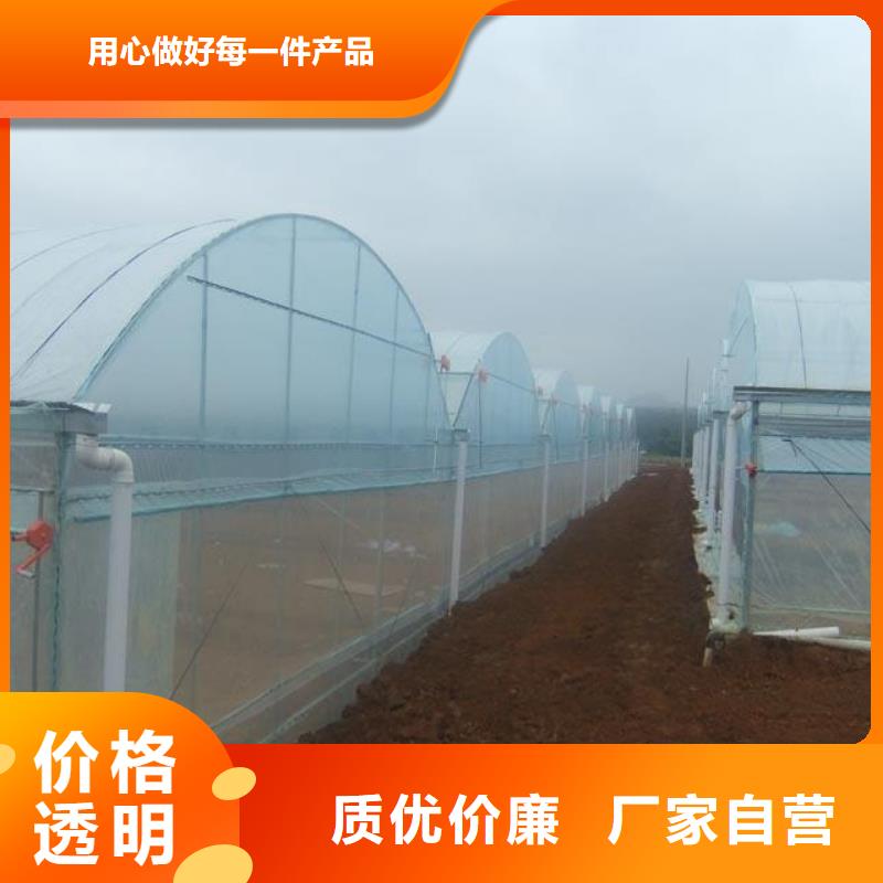 【大棚管】_连栋大棚管好货直销厂家直营