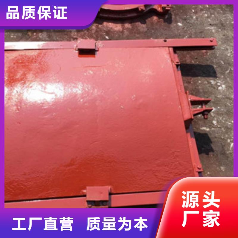 铸铁闸门-拦污栅厂家品控严格款式多样