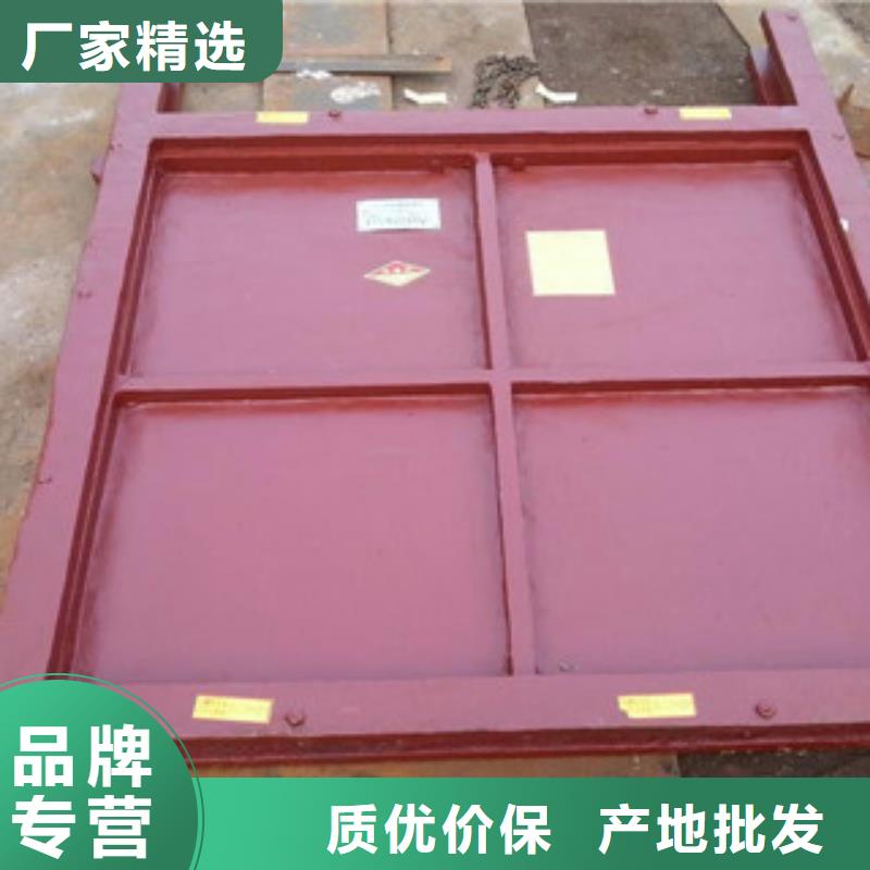铸铁闸门GLGS高链式格链除污机拒绝伪劣产品同城生产厂家