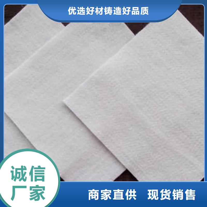 土工布HDPE土工膜主推产品当地厂家