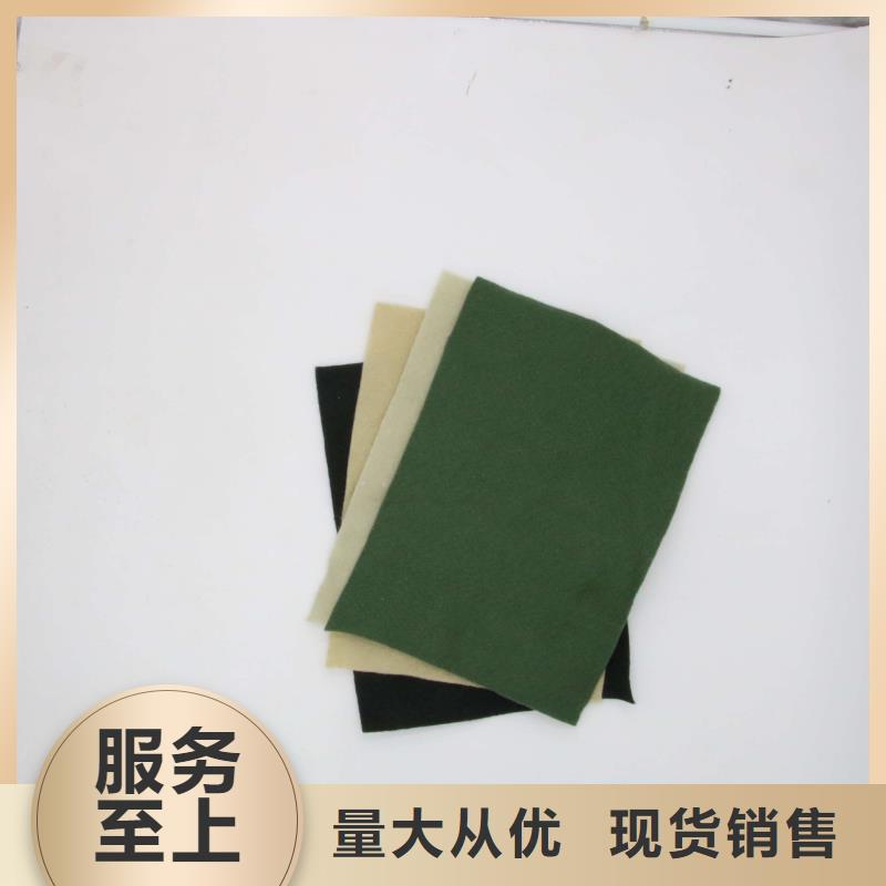土工布PP焊接土工格栅N年大品牌工期短发货快