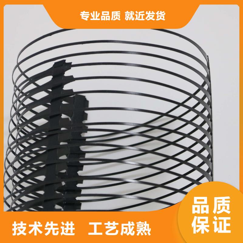 单向塑料土工格栅HDPE土工膜专注细节使用放心同城生产厂家