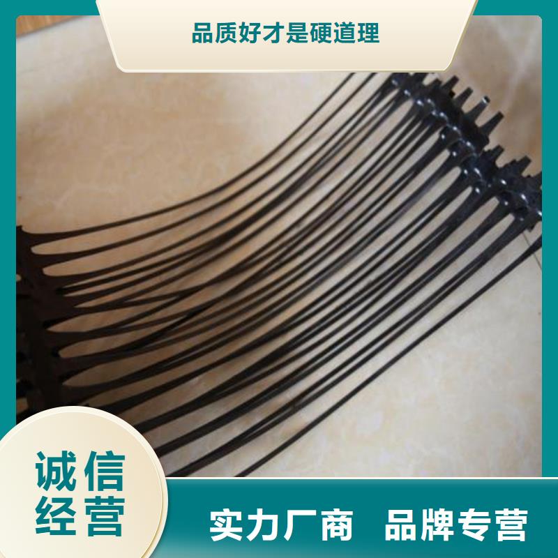 单向塑料土工格栅-三维植被网订购本地生产商