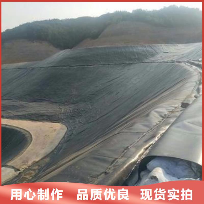 土工膜钢塑土工格栅批发商当地生产商