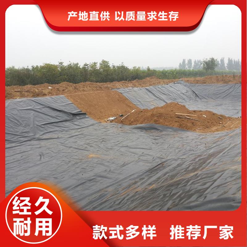 土工膜土工格室源头实体厂商厂家直营