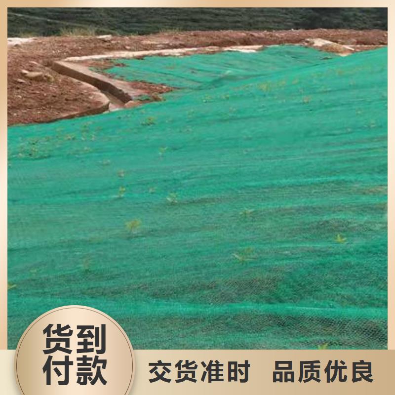 三维植被网,蜂巢格室一站式厂家当地经销商