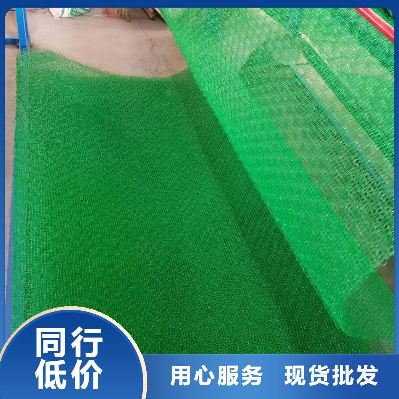 三维植被网三维复合排水网库存充足厂家型号齐全