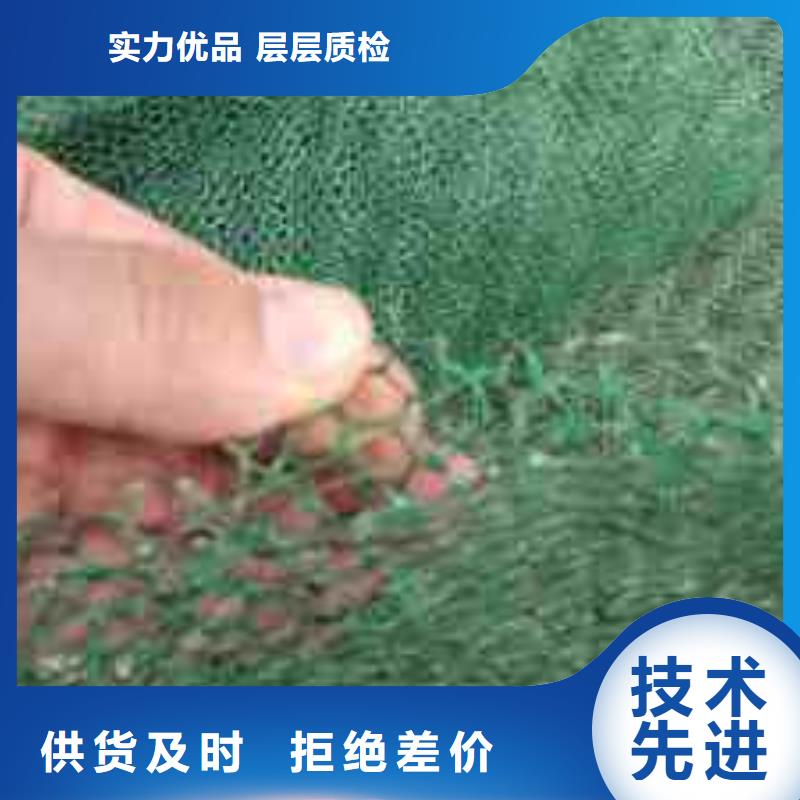 三维植被网毛细排水板批发供应当地厂家值得信赖
