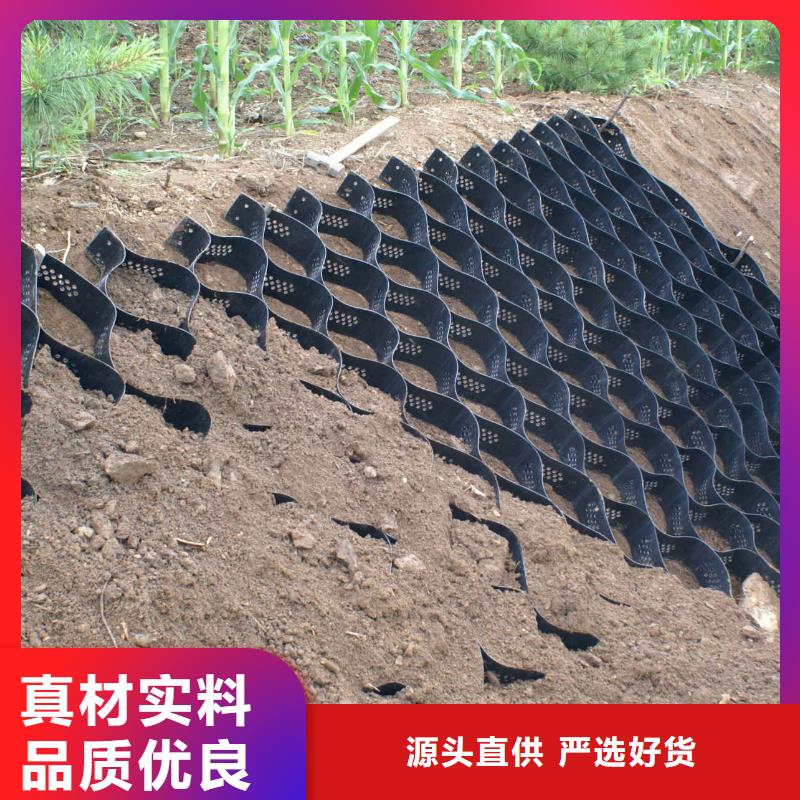 土工格室,软式透水管讲信誉保质量长期供应
