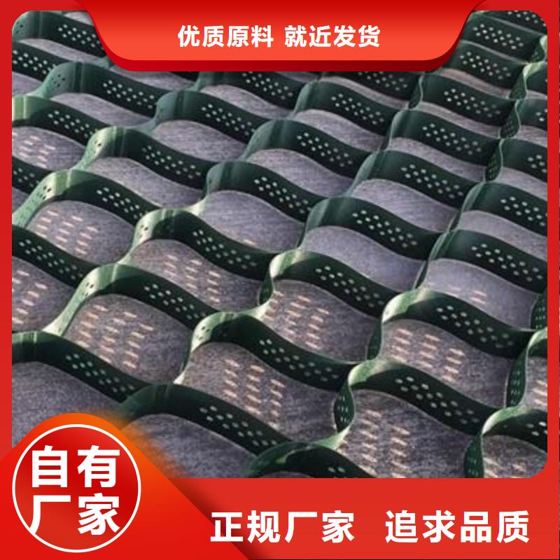 土工格室聚乙烯土工膜甄选好物实力大厂家