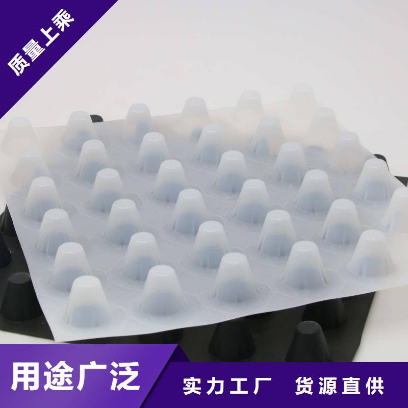排水板PVC防水卷材价格公道合理本地制造商