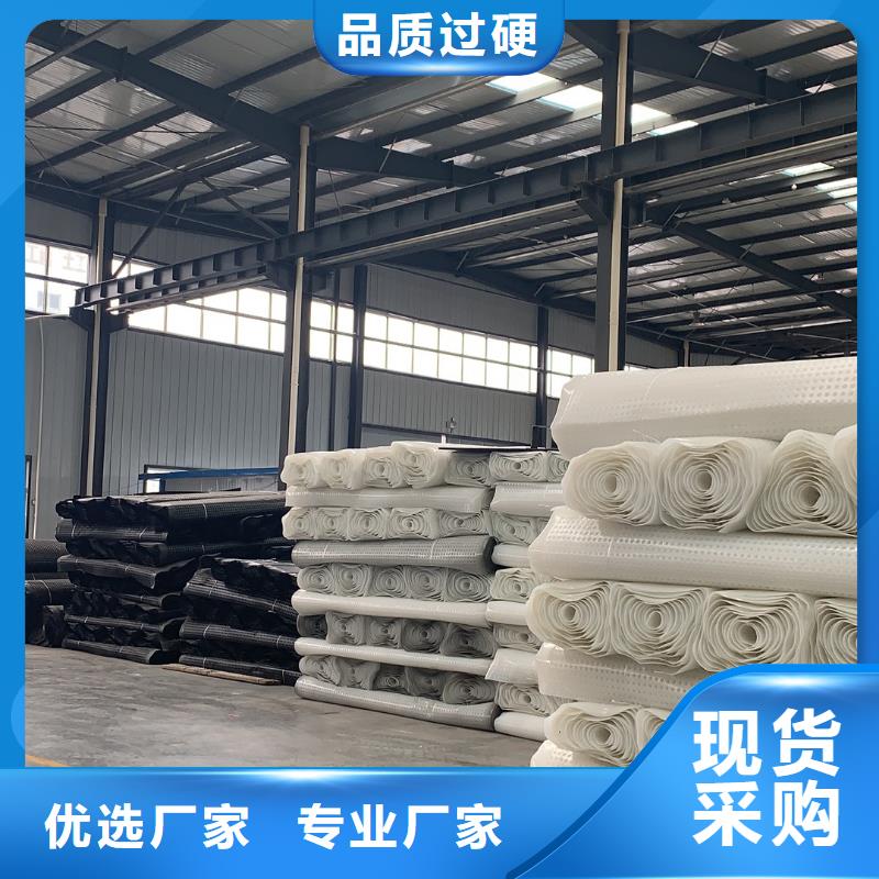 排水板PP焊接土工格栅厂家直销供货稳定当地公司