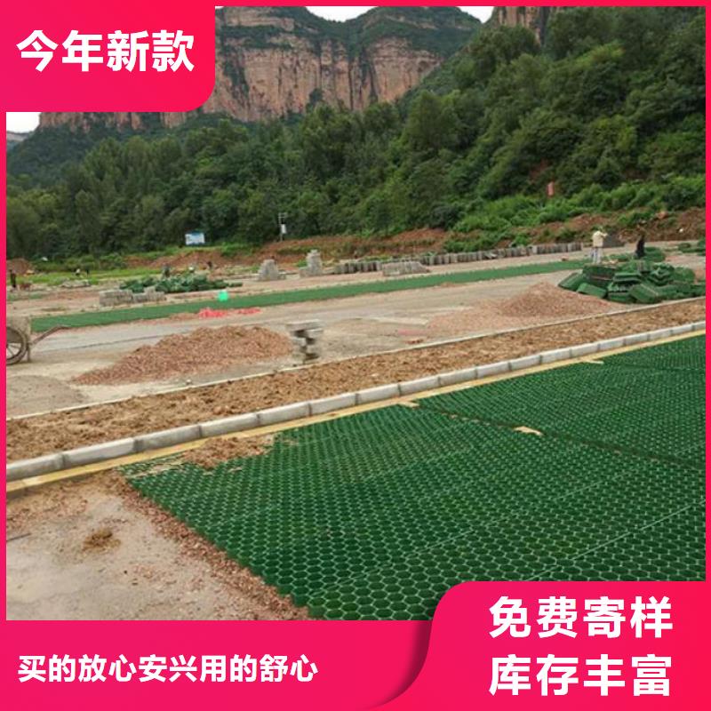 植草格PP焊接土工格栅卓越品质保障一站式厂家