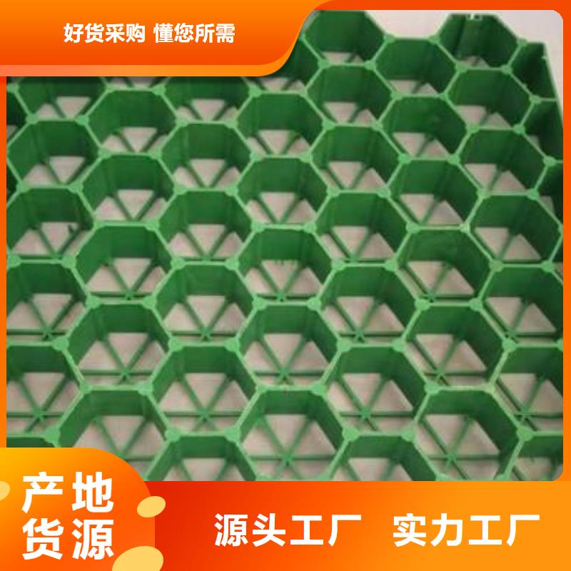 植草格-复合土工膜专业厂家同城经销商