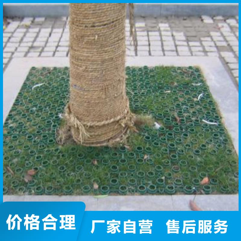 植草格PP焊接土工格栅好产品放心购同城生产厂家