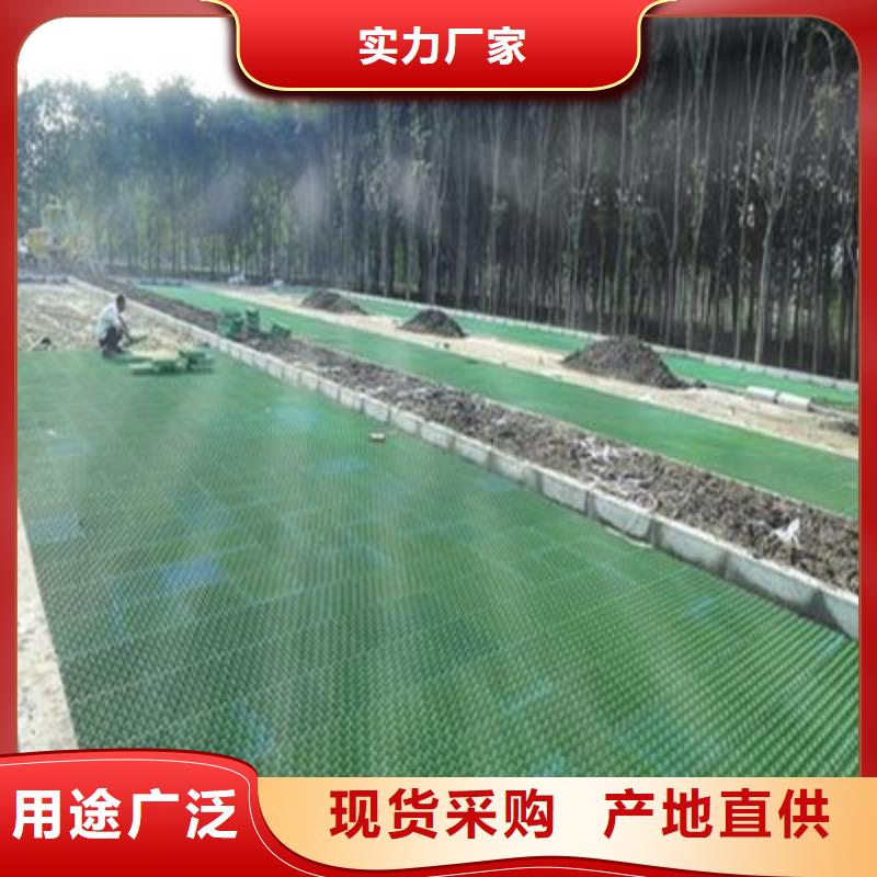 【植草格-毛细排水板层层质检】严选材质