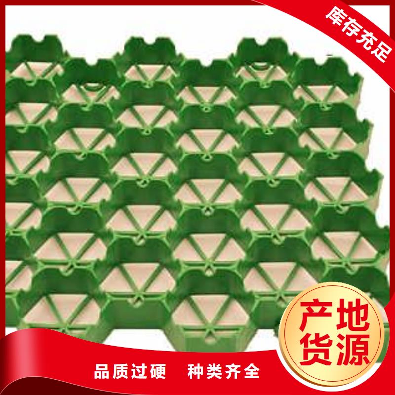 植草格双向拉伸塑料格栅严谨工艺制造生产销售