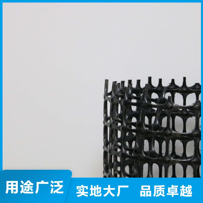 塑料土工格栅_护坡土工网厂家直销直供专业厂家