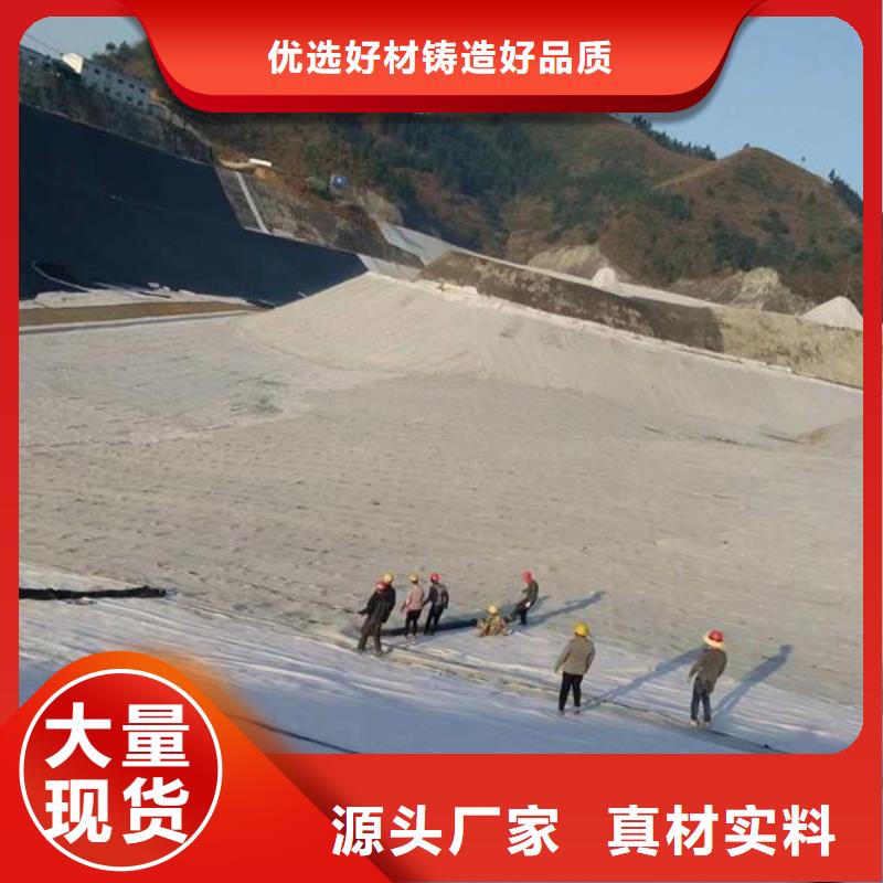 【膨润土防水毯防渗膜经验丰富品质可靠】同城生产厂家