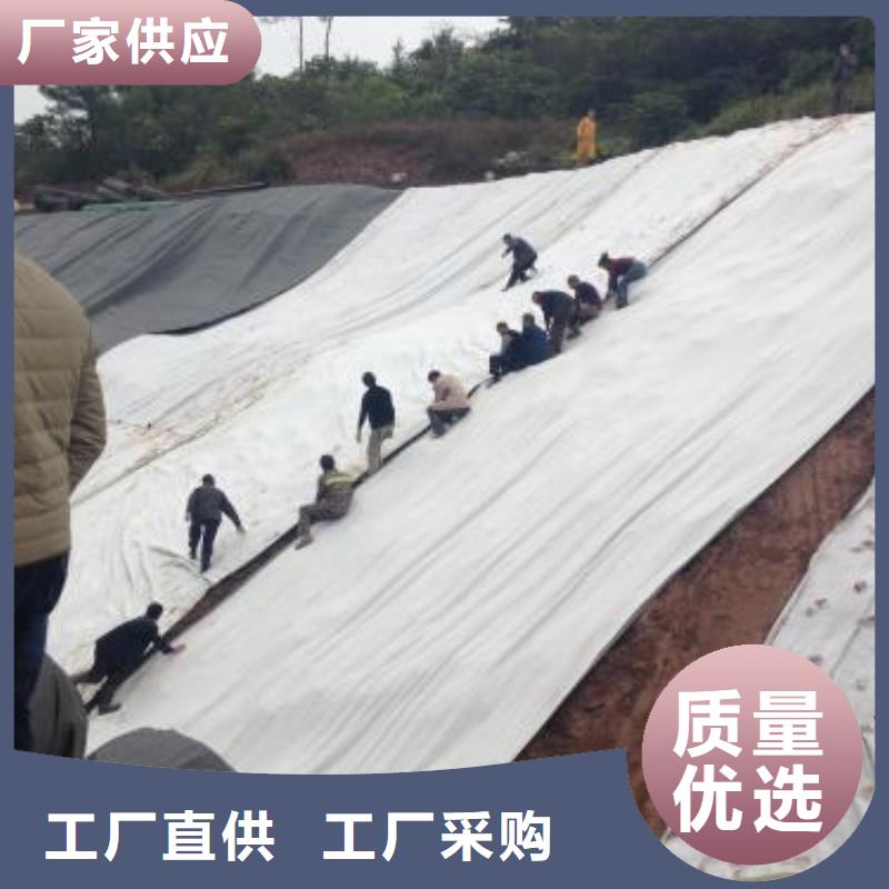 膨润土防水毯实力厂家/现货供应放心购