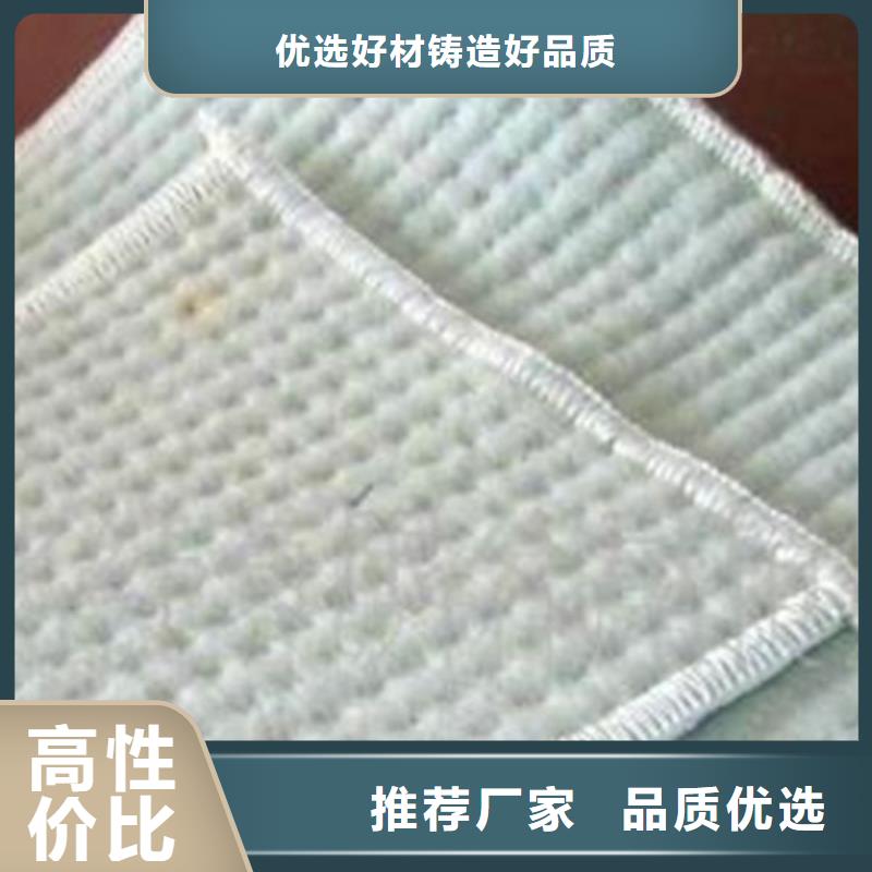 【膨润土防水毯】单向塑料土工格栅联系厂家同城公司