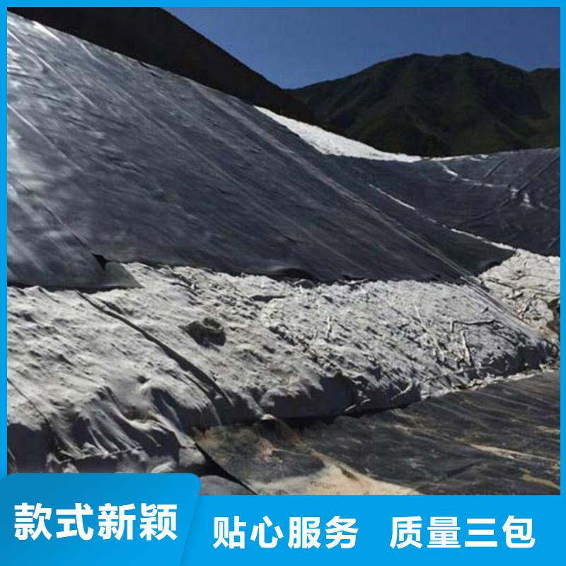 防渗土工膜多少钱一平方？本地厂家