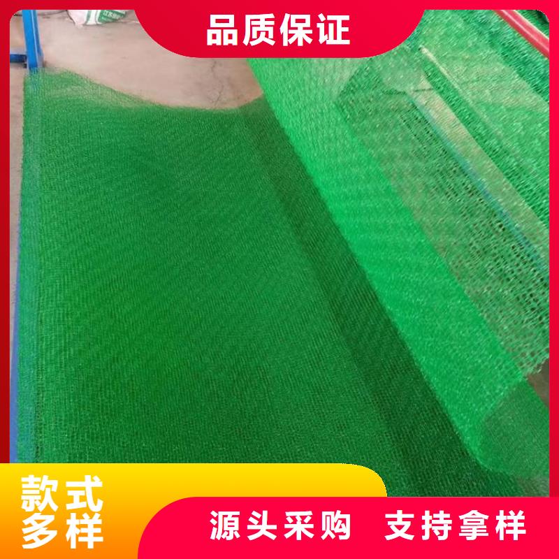 三维植被网三维土工网垫细节之处更加用心款式多样