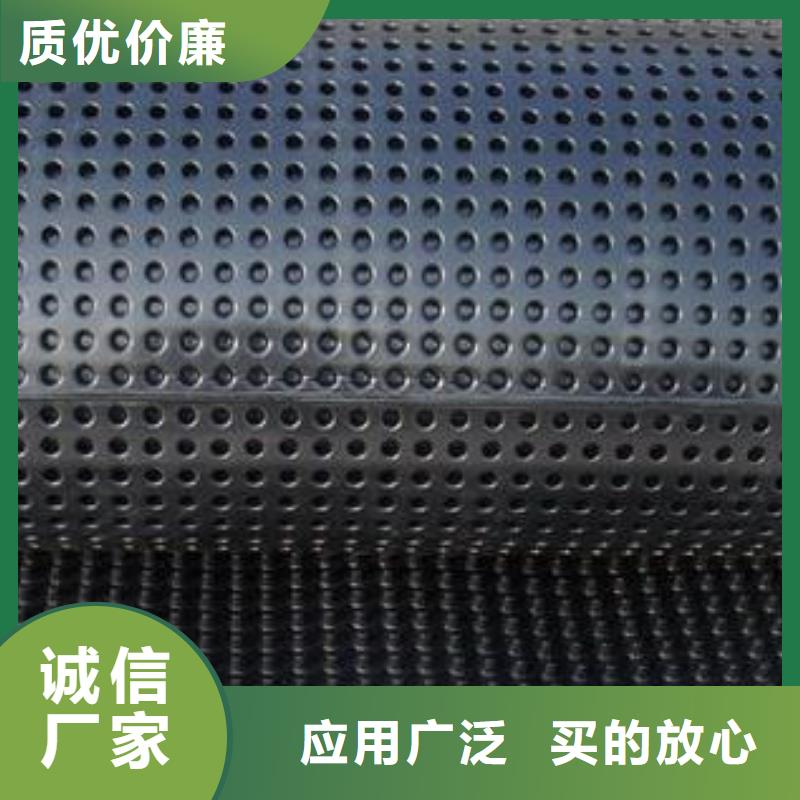 【塑料排水板,聚乙烯土工膜专业的生产厂家】同城厂家