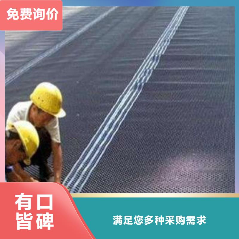 塑料排水板,双向塑料土工格栅质量看得见同城公司