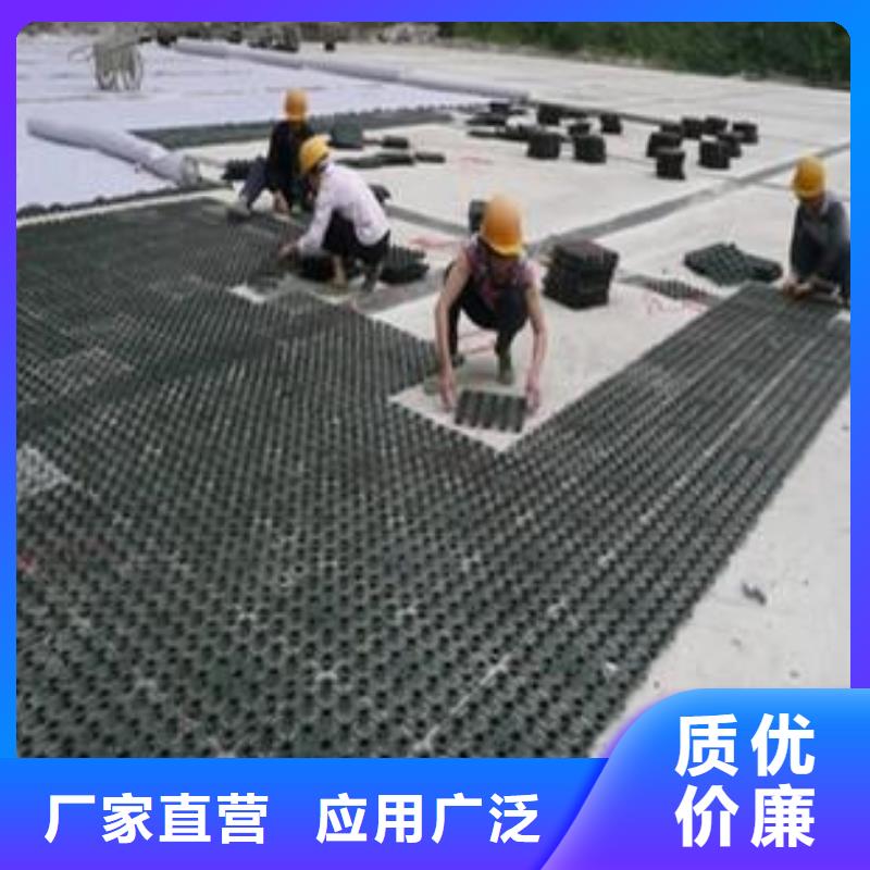 塑料排水板反滤土工布认准大品牌厂家当地公司
