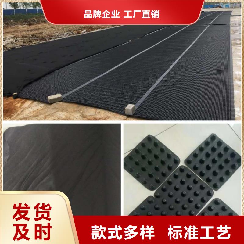 塑料排水板-膨润土防水毯质量无忧货源直供