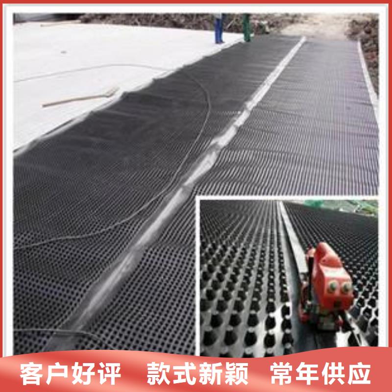 塑料排水板涤纶土工格栅质优价廉实体诚信厂家