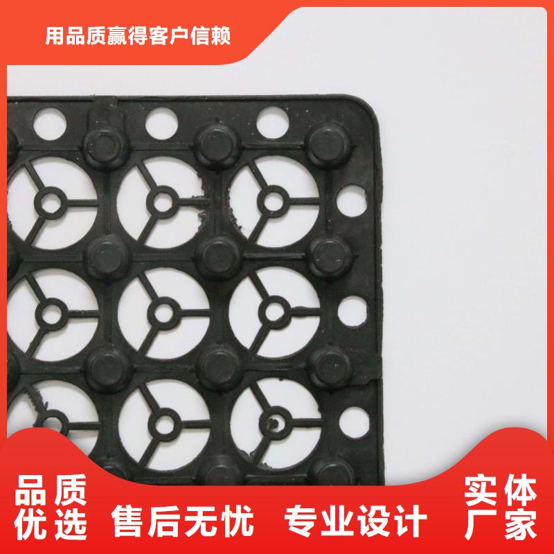 ​塑料排水板塑料土工滤网从厂家买售后有保障选择我们没错