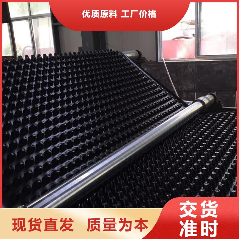 塑料排水板垃圾填埋场材料诚信商家工厂价格