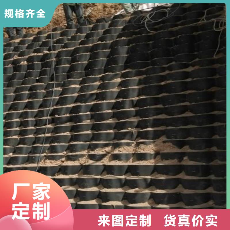 土工格室反滤土工布精益求精同城生产商