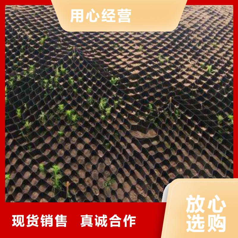 土工格室反滤土工布可放心采购当地服务商