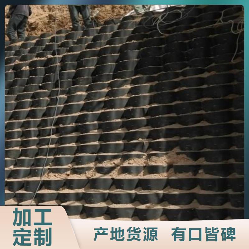 土工格室_玻纤土工格栅实力才是硬道理本地服务商
