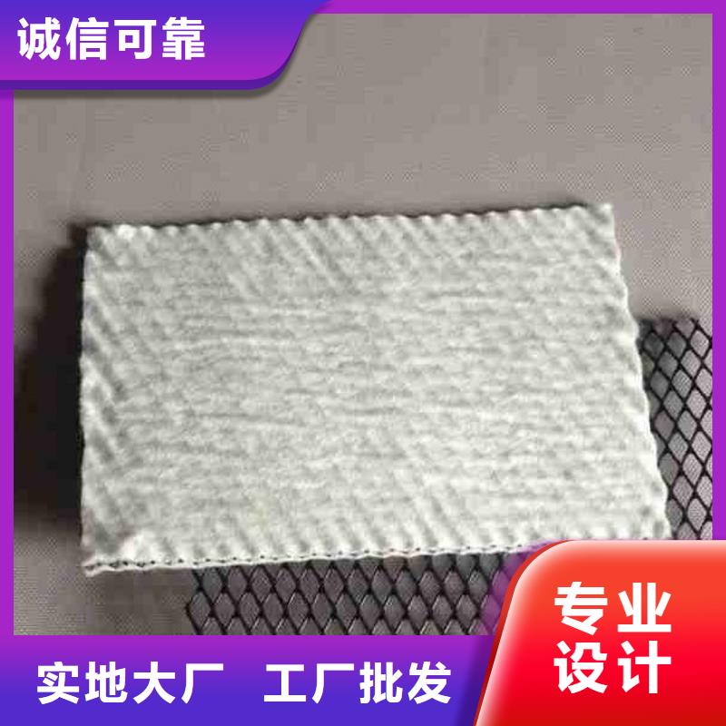 三维复合排水网塑料土工格栅厂家直销货源充足当地供应商