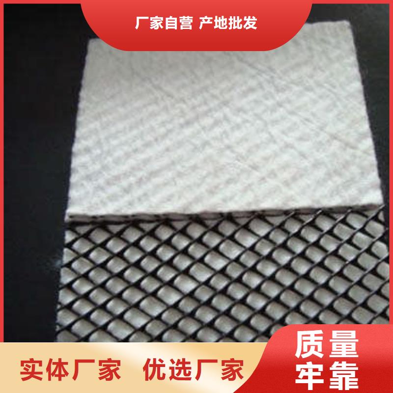 三维复合排水网塑料排水板现货直供N年生产经验