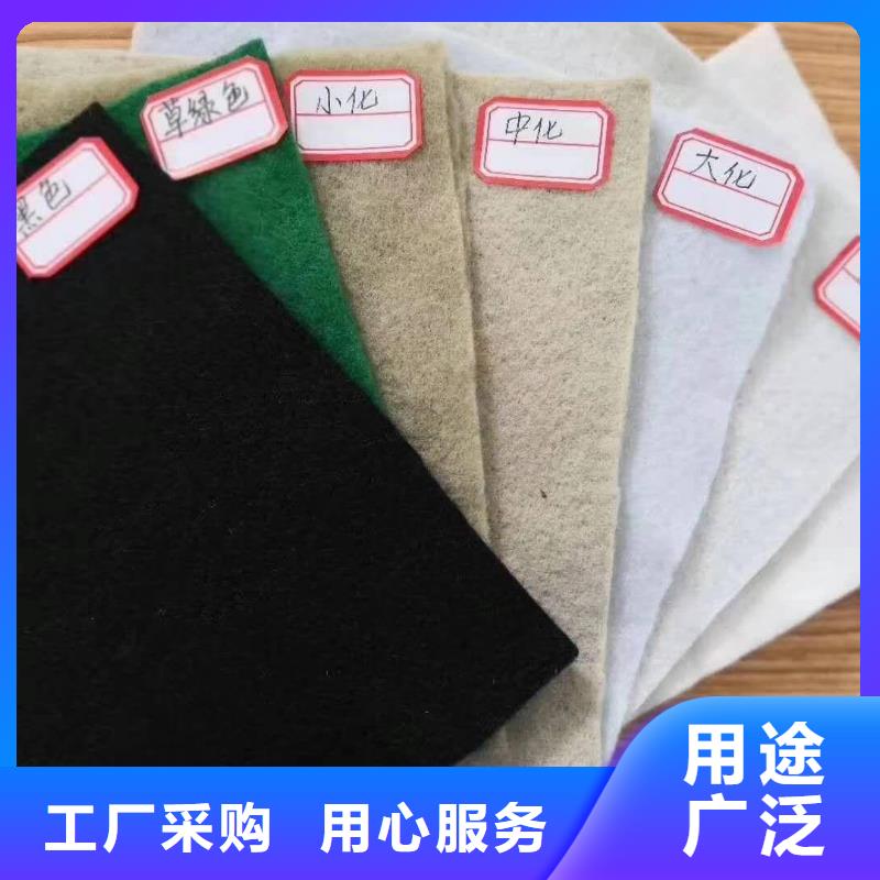 土工布单向塑料格栅自营品质有保障工厂直供