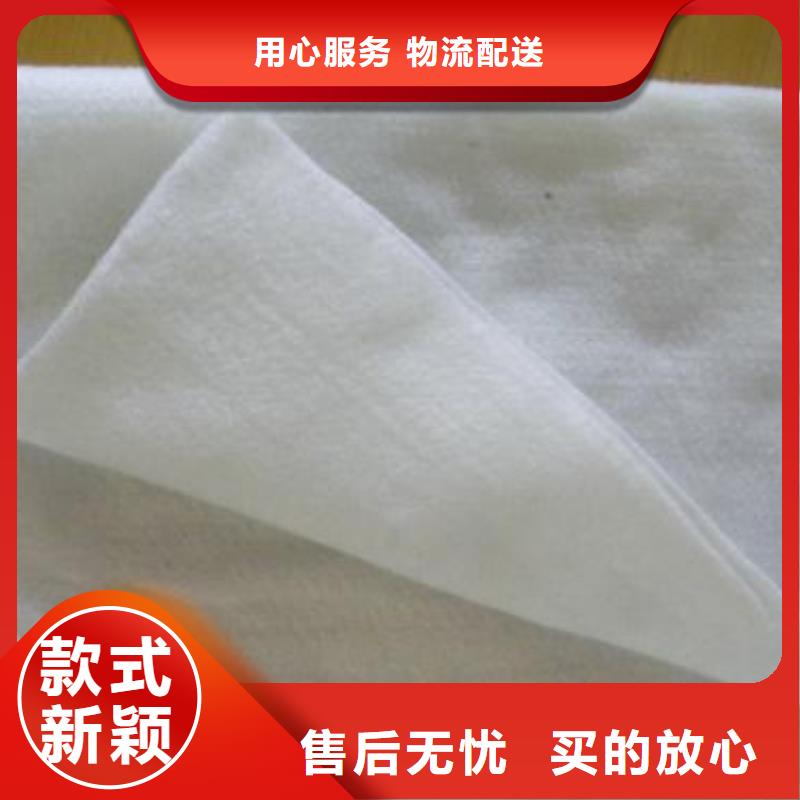土工布_防水土工布源头厂家经验丰富就近发货