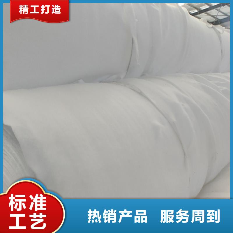 【土工布】双向塑料土工格栅现货齐全售后无忧厂家经验丰富