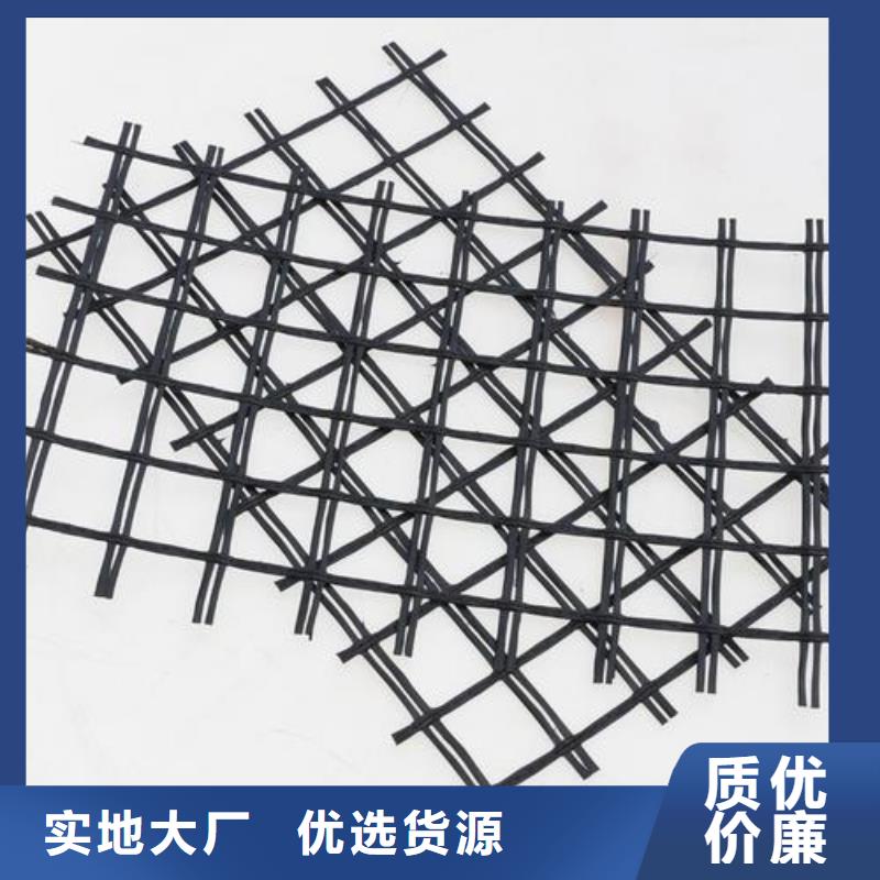 玻纤土工格栅护坡土工网产品性能同城生产商