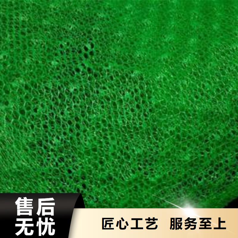 三维植被网单向塑料格栅应用范围广泛自有厂家