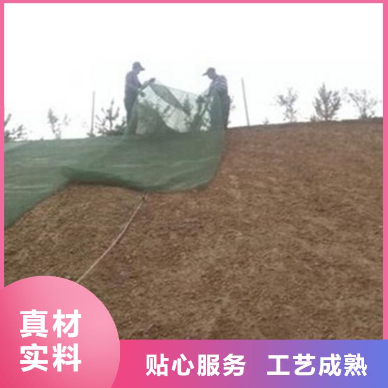 三维植被网严格把控质量
