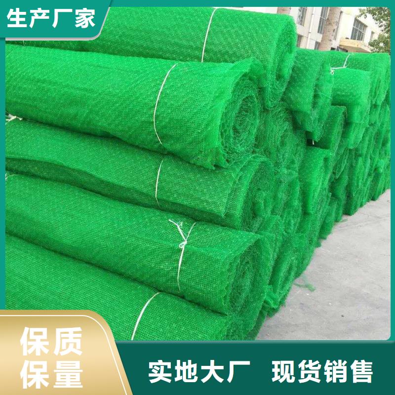 三维植被网厂家多年行业积累